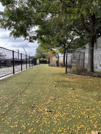 Dog Park - Weehawken Township, NJ