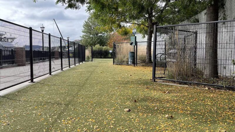 Dog Park - Weehawken Township, NJ