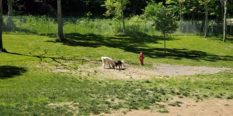 Hopewell Dog Park - West Aliquippa, PA