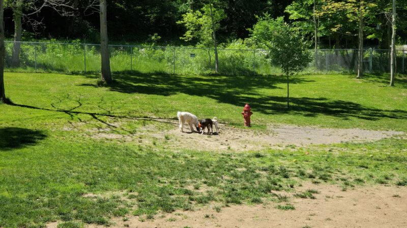 Hopewell Dog Park - West Aliquippa, PA