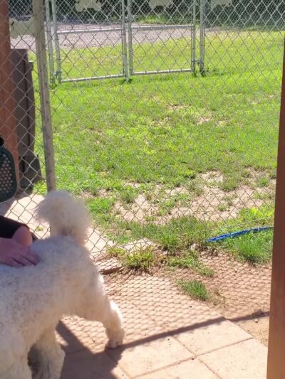 Hopewell Dog Park - West Aliquippa, PA