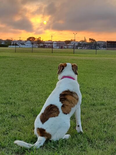Venetian Shores Beach - West Babylon, NY
