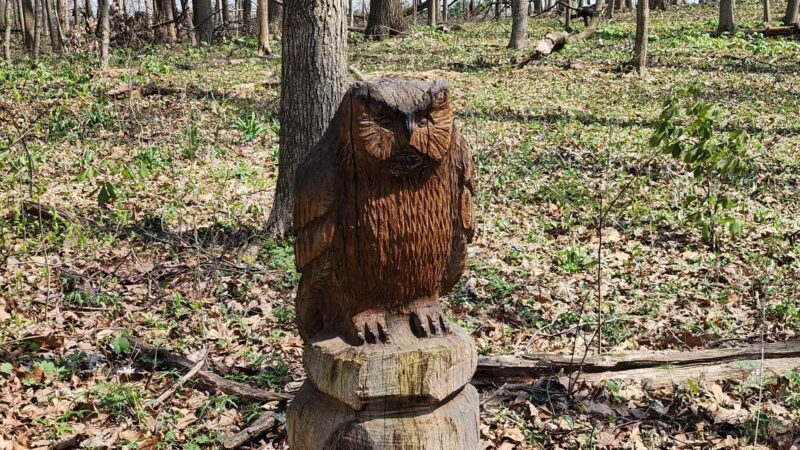 Fleming Woods County Park - West Lebanon, IN