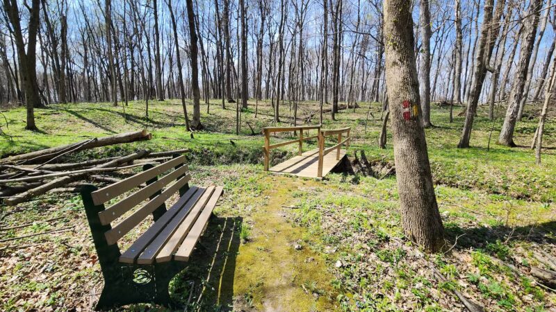 Fleming Woods County Park - West Lebanon, IN