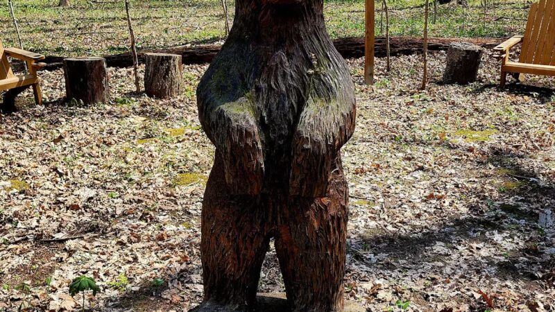 Fleming Woods County Park - West Lebanon, IN