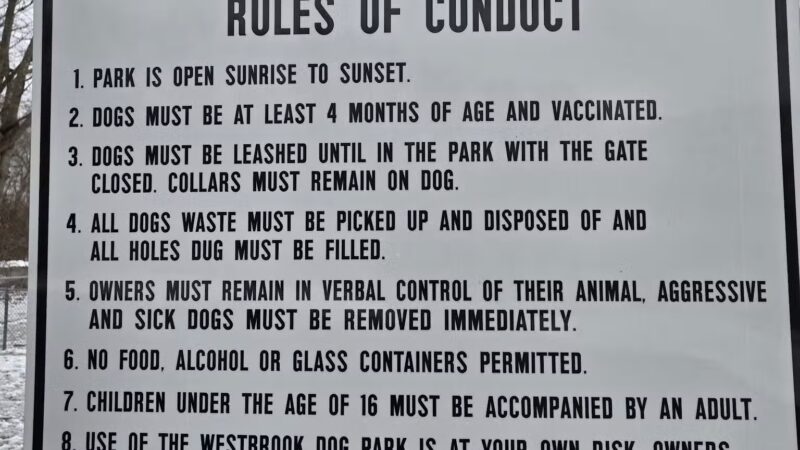 Westbrook Dog park - Westbrook, CT