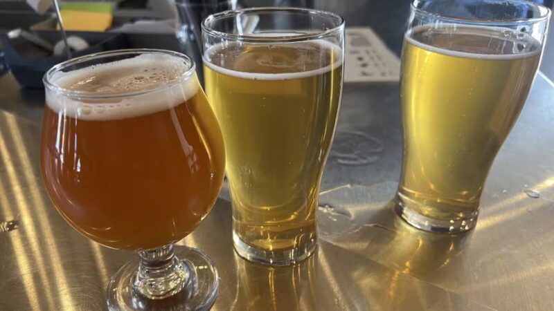 Lions Roar Brewing Co. - Westfield, NJ