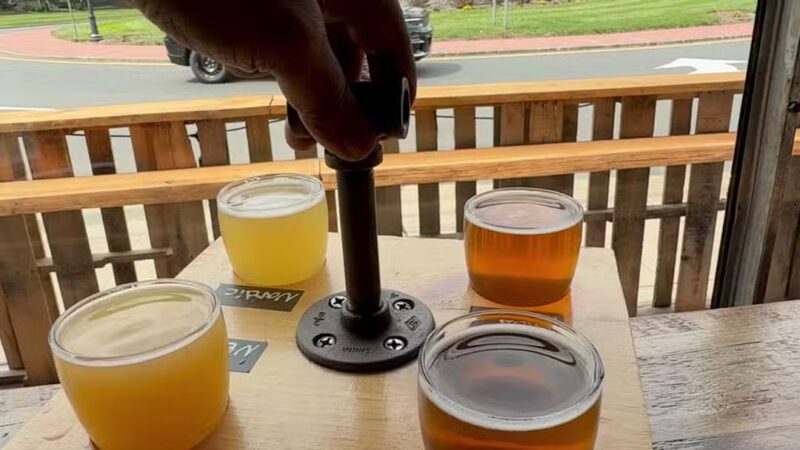 Lions Roar Brewing Co. - Westfield, NJ