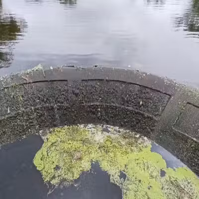 Mindowaskin Park - Westfield, NJ