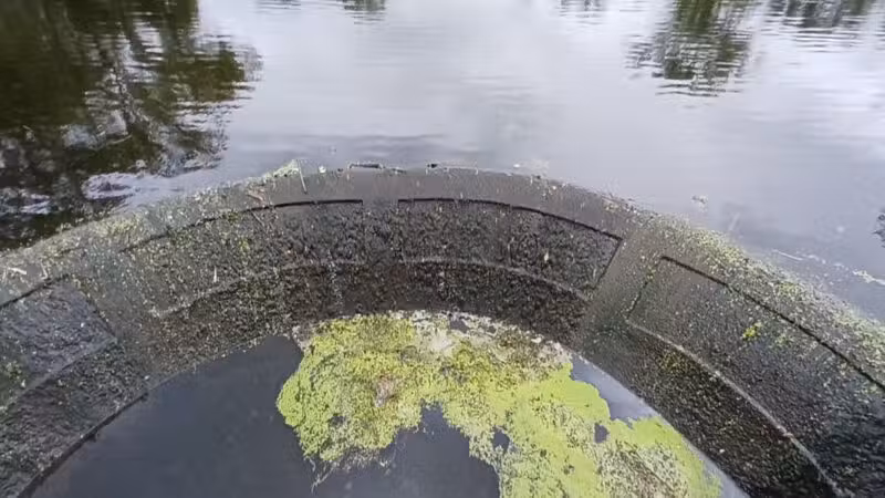 Mindowaskin Park - Westfield, NJ