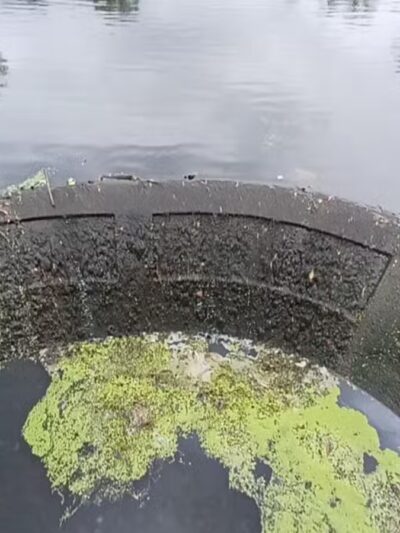 Mindowaskin Park - Westfield, NJ