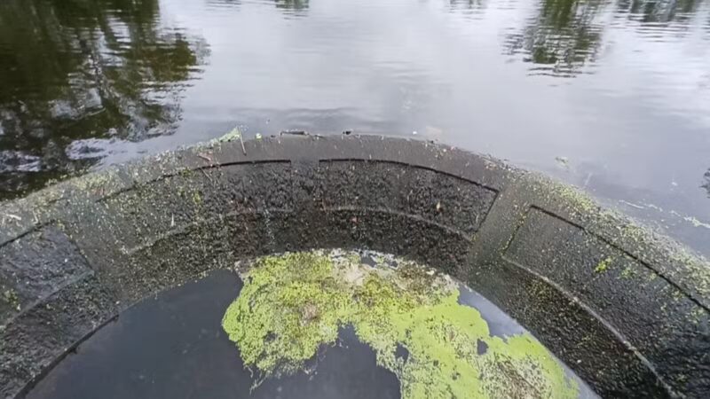 Mindowaskin Park - Westfield, NJ