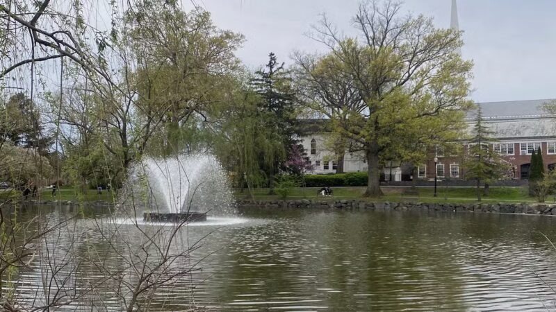 Mindowaskin Park - Westfield, NJ