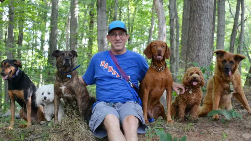 Sal's Pals - Westfield, NJ