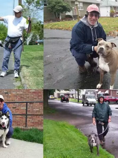 Sal's Pals - Westfield, NJ