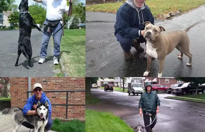 Sal's Pals - Westfield, NJ