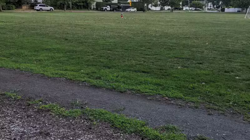 Sycamore Field - Westfield, NJ