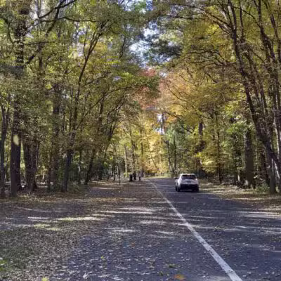 Tamaques Reservation - Westfield, NJ