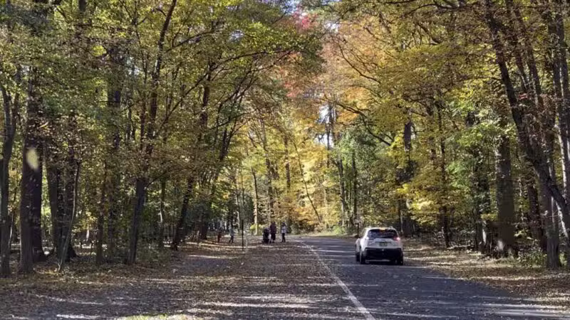 Tamaques Reservation - Westfield, NJ