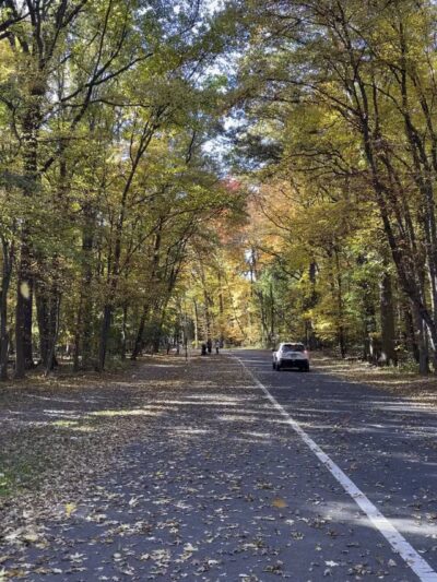 Tamaques Reservation - Westfield, NJ