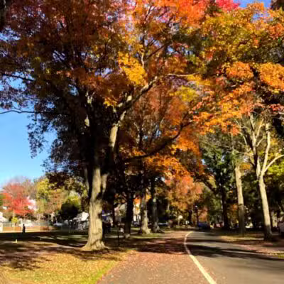 Tamaques Reservation - Westfield, NJ