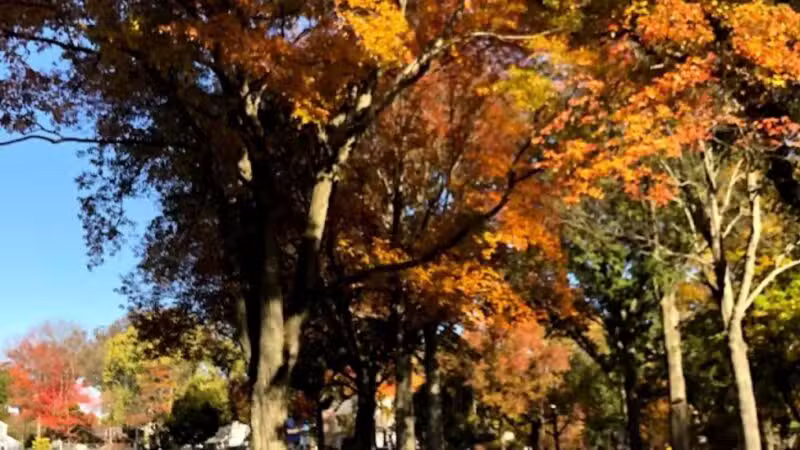 Tamaques Reservation - Westfield, NJ