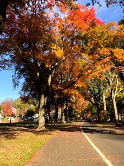 Tamaques Reservation - Westfield, NJ