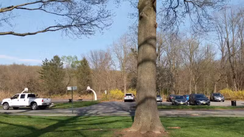 Tamaques Reservation - Westfield, NJ