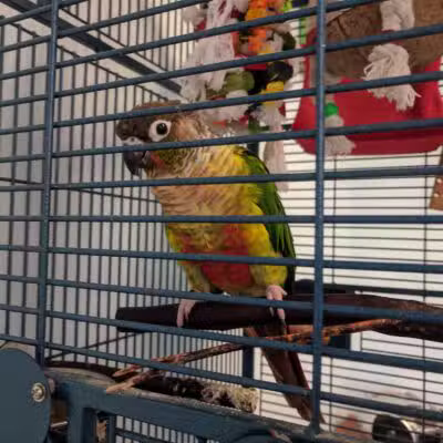 Westfield Animal Hospital - Westfield, NJ