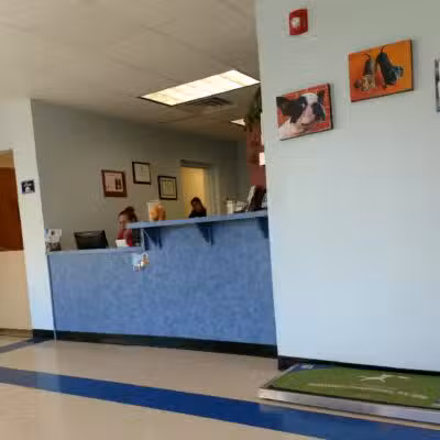 Westfield Animal Hospital - Westfield, NJ
