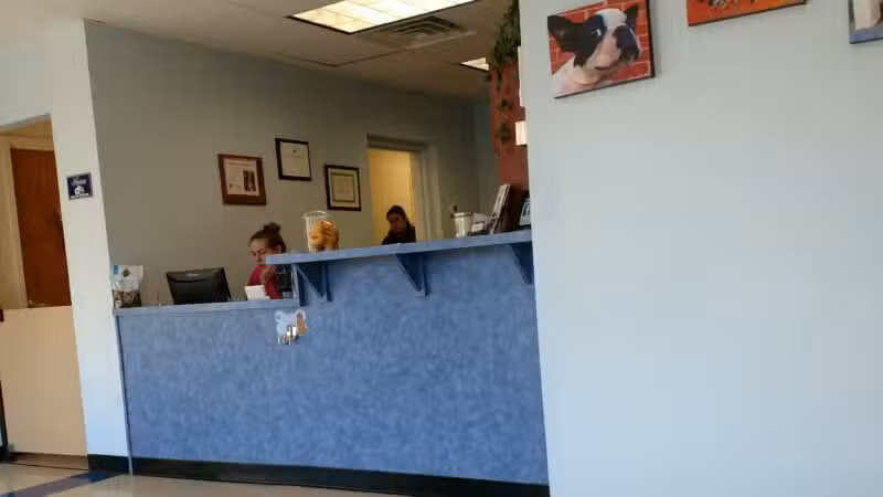 Westfield Animal Hospital - Westfield, NJ