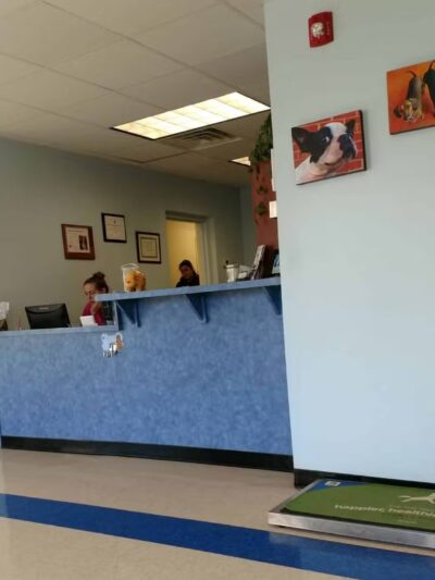 Westfield Animal Hospital - Westfield, NJ