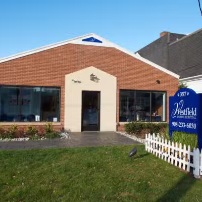 Westfield Animal Hospital - Westfield, NJ