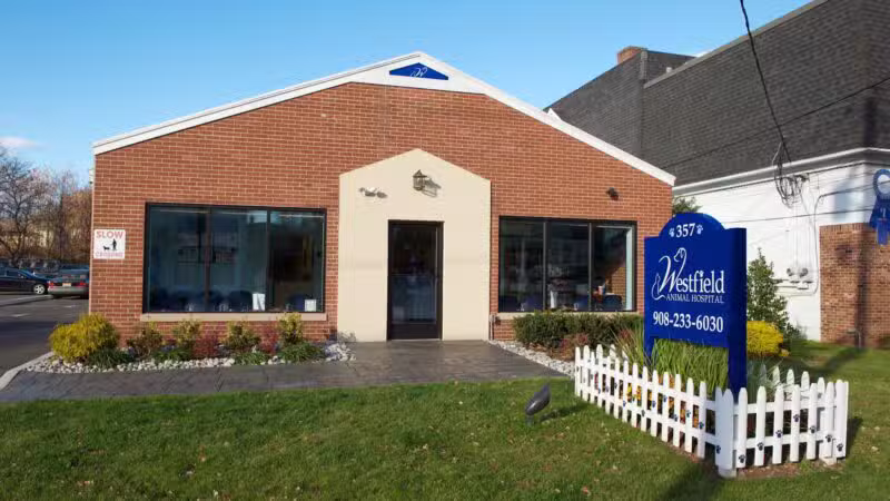 Westfield Animal Hospital - Westfield, NJ