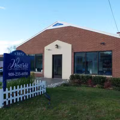 Westfield Animal Hospital - Westfield, NJ