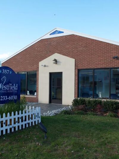 Westfield Animal Hospital - Westfield, NJ