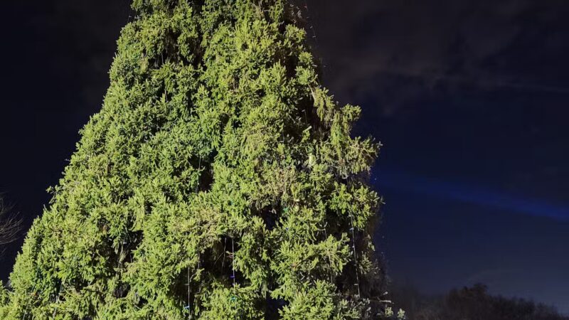 Westfield Public Parking Lot #2 - Westfield, NJ