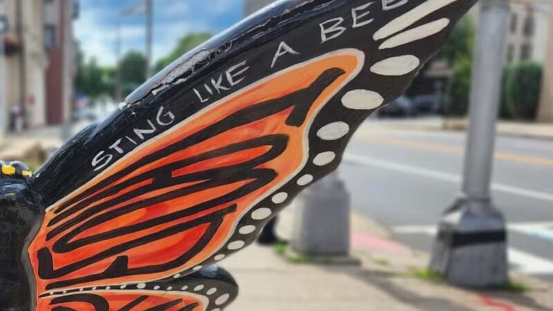 Westfield Public Parking Lot #2 - Westfield, NJ