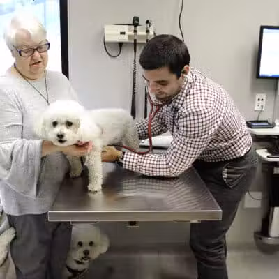 Westfield Veterinary Group - Westfield, NJ