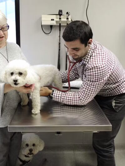 Westfield Veterinary Group - Westfield, NJ