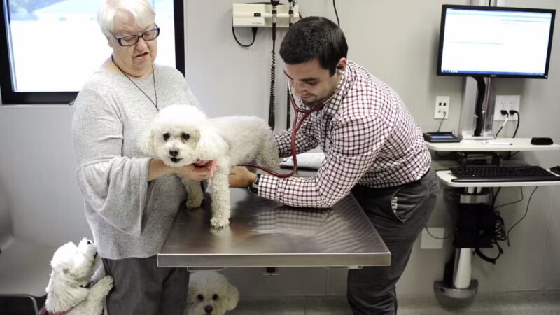 Westfield Veterinary Group - Westfield, NJ