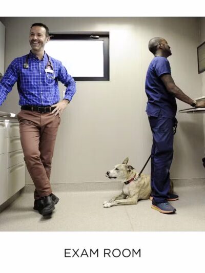 Westfield Veterinary Group - Westfield, NJ