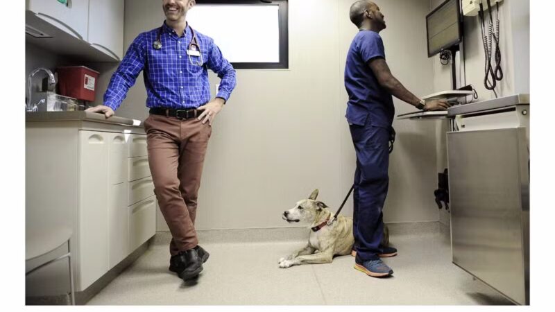 Westfield Veterinary Group - Westfield, NJ