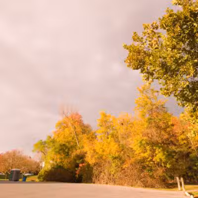 Avondale Park - Westminster, MD
