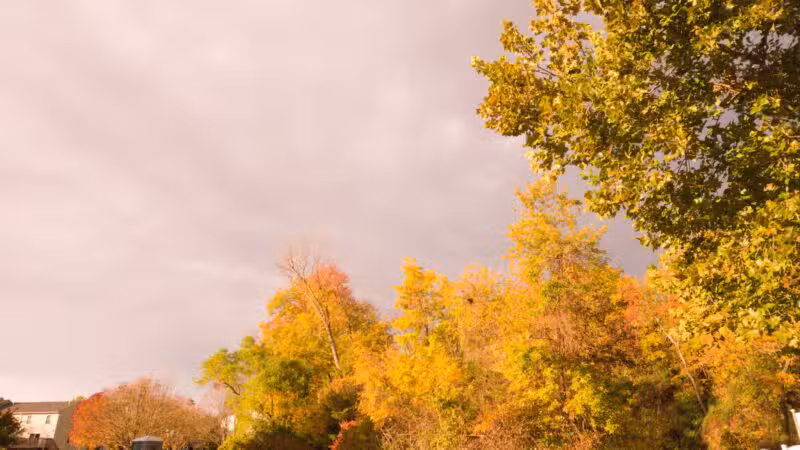 Avondale Park - Westminster, MD