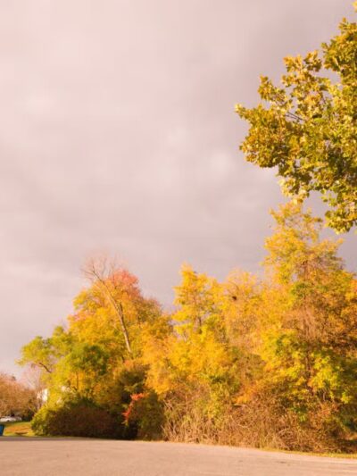 Avondale Park - Westminster, MD