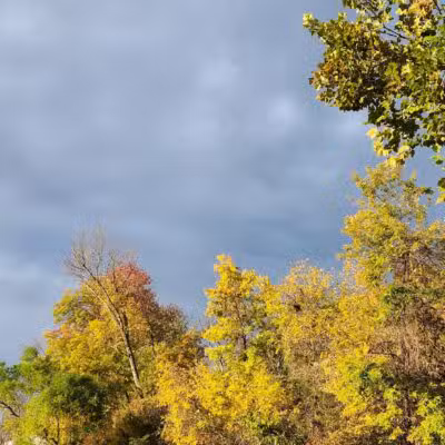 Avondale Park - Westminster, MD