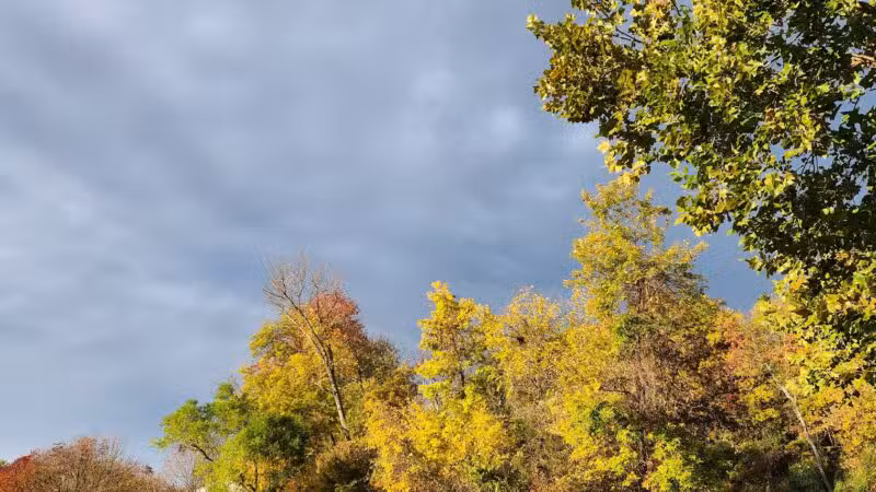 Avondale Park - Westminster, MD