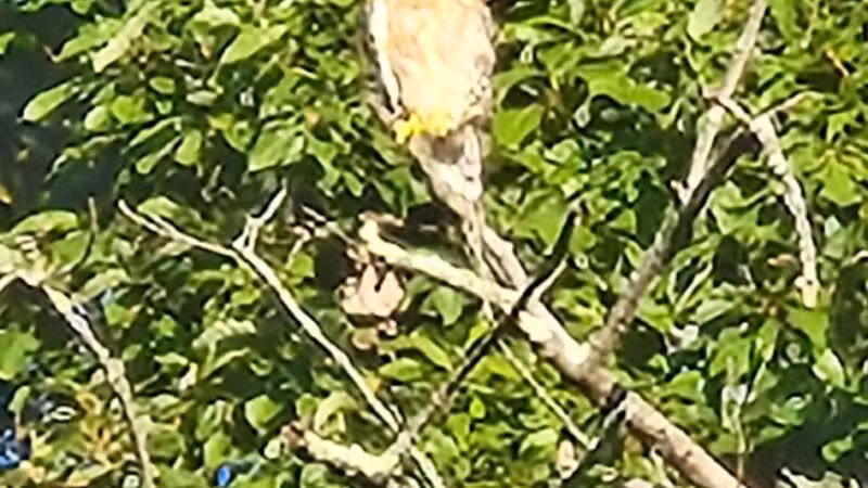 Avondale Park - Westminster, MD