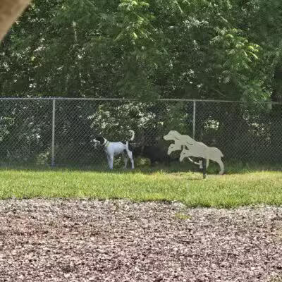Bennett Cerf Park - Westminster, MD